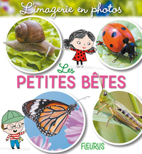Picture of Les petites bêtes