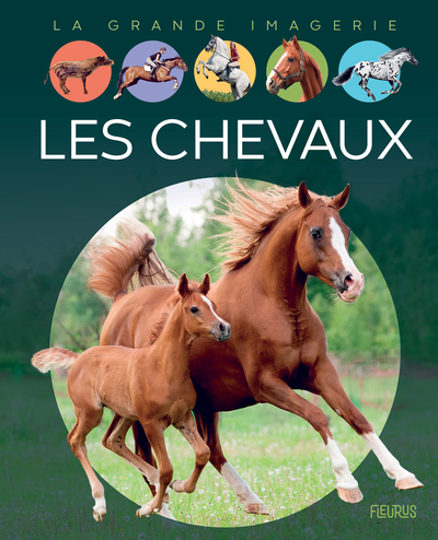 Picture of Les chevaux