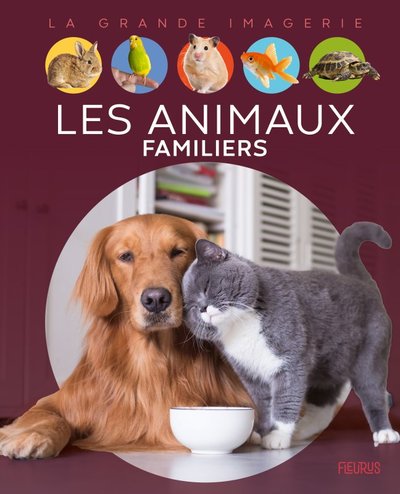 Picture of Les animaux familiers