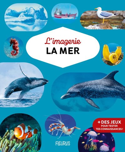 Image de L'imagerie - La mer