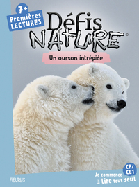 Image de Un ourson intrépide
