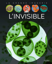 Picture of L'invisible
