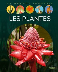 Image de Les plantes