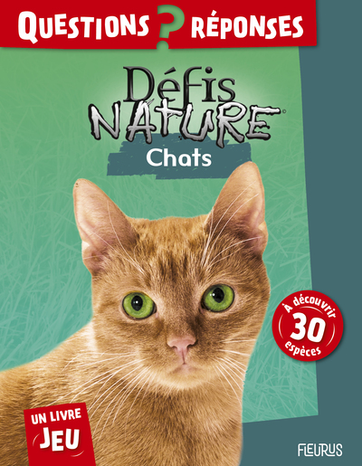 Image de Chats