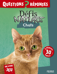 Image de Chats