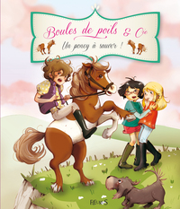 Image de UN PONEY A SAUVER !