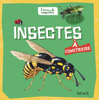 Image de Insectes à construire
