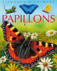Image de Les papillons