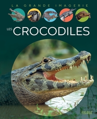 Image de Les crocodiles