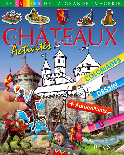 Picture of Les châteaux forts