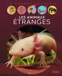 Picture of Les animaux étranges