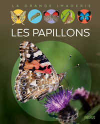 Picture of Les papillons