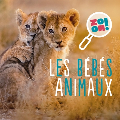 Picture of Les bébés animaux