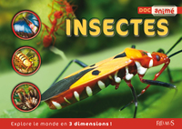 Image de Insectes
