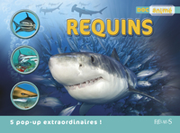Image de Requins