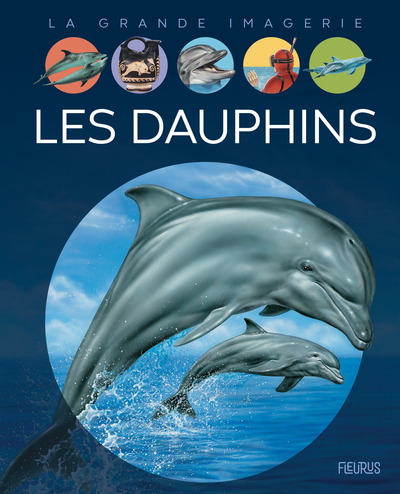 Image de Les dauphins
