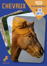 Image de Chevaux
