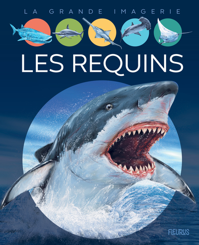 Picture of Les requins