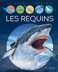 Picture of Les requins