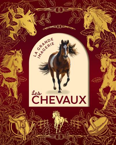 Image de Les chevaux