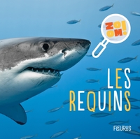 Picture of Les requins