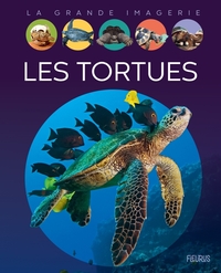 Image de Les tortues