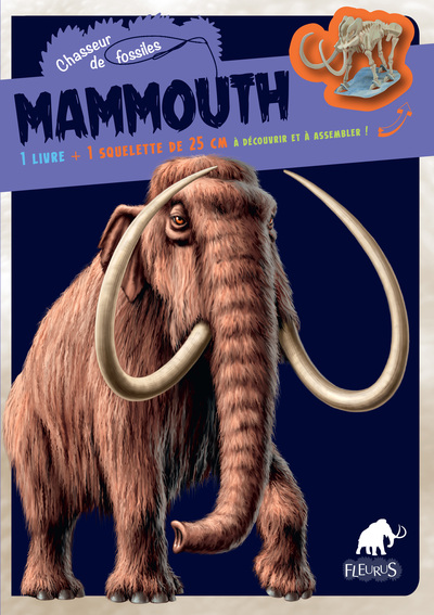 Image de Mammouth