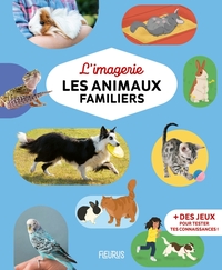 Image de L'imagerie - Les animaux familiers