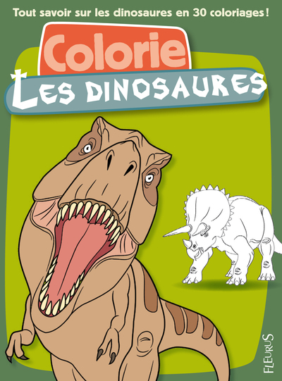 Picture of Colorie les dinosaures