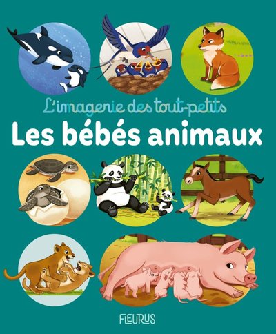 Picture of Les bébés animaux