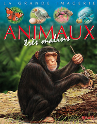 Image de Les animaux très malins