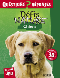 Picture of Chiens