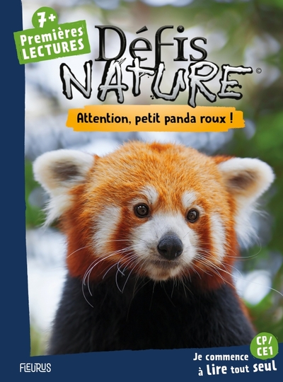 Picture of Attention, petit panda roux !