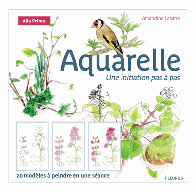Picture of Aquarelle, une initiation pas à pas