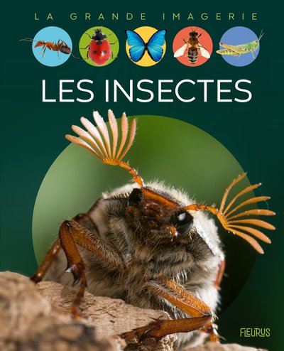 Picture of Les insectes