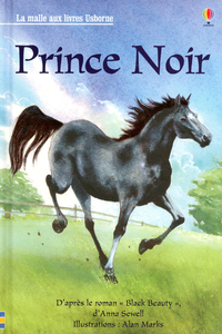 Picture of Prince Noir - La malle aux livres Niveau 3