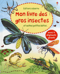 Image de Mon livre des gros insectes