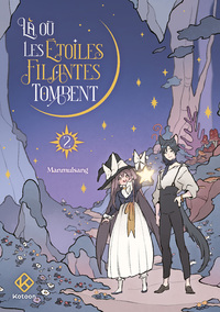 Picture of Là où les étoiles filantes tombent - Tome 2