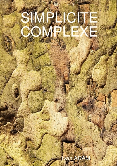 Image de Simplicité complexe