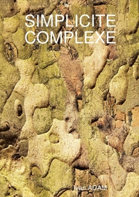 Picture of Simplicité complexe