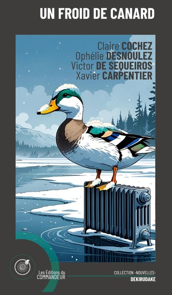 Image de Un froid de canard