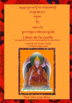 Picture of L'Elixir de l'or purifié