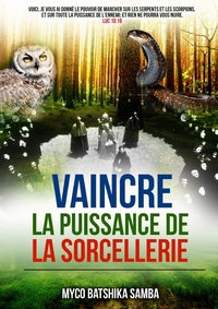 Picture of VAINCRE LA PUISSANCE DE LA SORCELLERIE