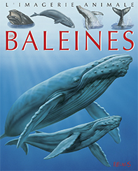 Image de Les baleines