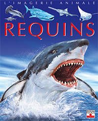 Image de Les requins