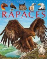 Image de Les rapaces