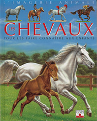 Image de Les chevaux