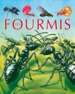 Image de Les fourmis
