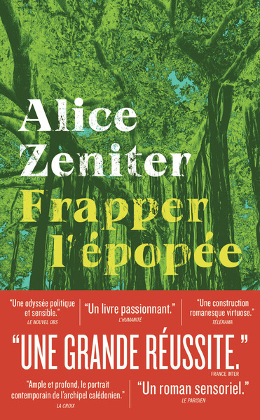 Image de Frapper l'épopée