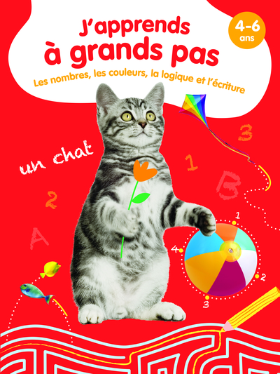 Image de Les nombres, les couleurs, la logique et l'écriture - J'apprends à grands pas